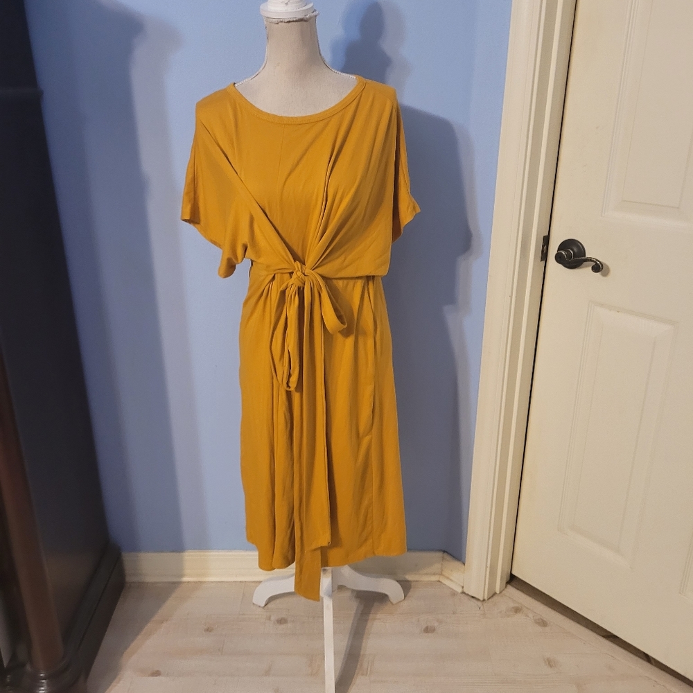 Vine & Love Medium Womens Dress